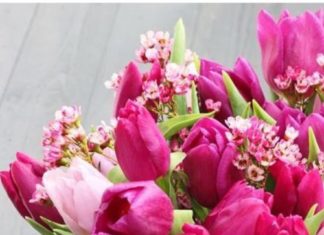 Birthday Quotes : videoswatsapp.com Happy Birthday – Happy Birthday Wishes Happy Birthday Quotes H…