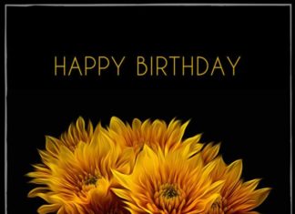 Happy Birthday Wiches : Happy Birthday.