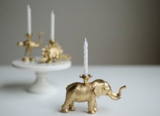 Birthday Cake : gold party animal birthday candles by Hank Hunt