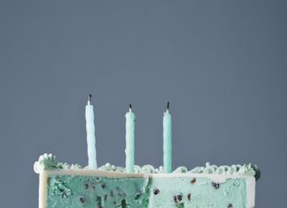 Birthday Cake : Mint Chip Ice Cream Cake
