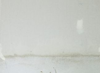 Birthday Cake : Now that's a cake!