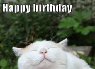 Birthday Quotes : 25 Happy Birthday Wishes #Birthday Quotes #Happy