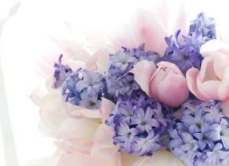 Birthday Quotes : Buenos dias