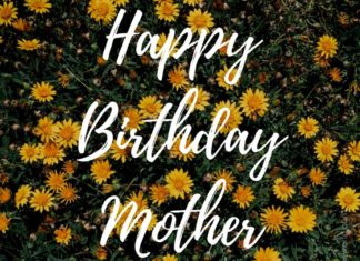 Birthday Quotes : Happy birthday mother-in-law!