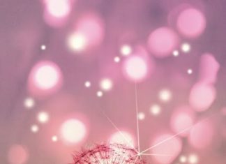 Birthday Quotes : Happy Birthday quotes images …