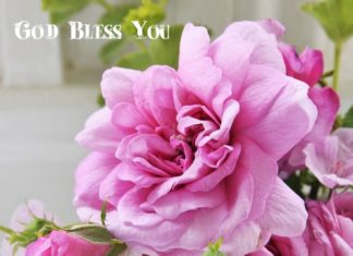 Birthday Quotes : Happy Birthday wishes