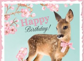 Birthday Quotes : Kaartje maken? De leukste kaartjes maak je bij Greetz