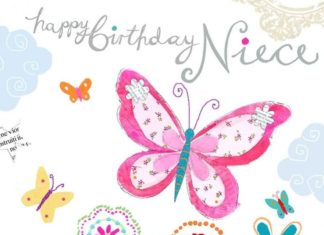 Birthday Quotes : Outstanding Happy Birthday To My Niece Given Efficient Birthday