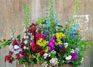 Birthday Quotes : s-media-cache-ak0…