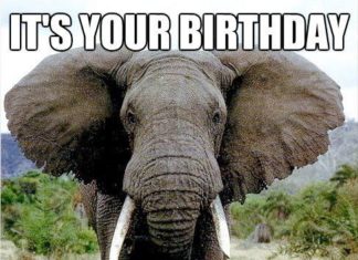 Happy Birthday Wiches : At this point I'm just trying to see how far I can take this without you not…