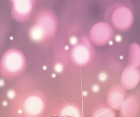 Happy Birthday Wiches : coque Fais un voeux – Pissenlit pour Asus Zenfone 5