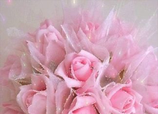 Happy Birthday Wiches : Gif Paradise