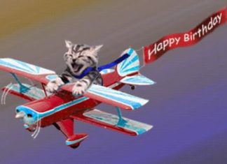 Happy Birthday Wiches : gifs animés – Page 5