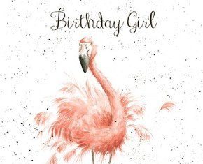 Happy Birthday Wiches : Greetings Card – WRE2173 – Fun, Feathers and Whiskers – Birthday Girl – Flamingo