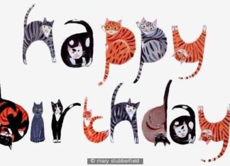 Happy Birthday Wiches : Happy birthday cats