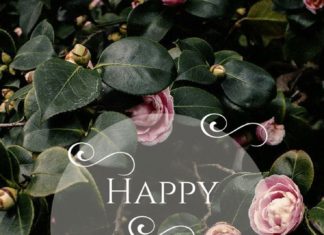 Happy Birthday Wiches : Happy Birthday! Click on this image to see the biggest selection of birthday wis…