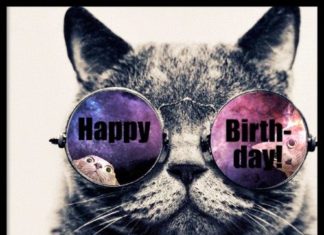Happy Birthday Wiches : Happy Birthday cool cat!