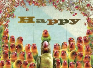 Happy Birthday Wiches : Happy Birthday Parrots Greeting Card by Max Hernn