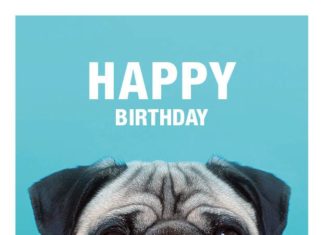 Happy Birthday Wiches : HAPPY BIRTHDAY – PUG GREETING CARD – AVAILABLE AT: ETSY.COM/SHOP/MEETTHEPUGS