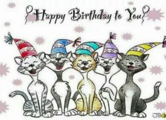 Happy Birthday Wiches : Happy gatos