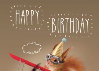 Happy Birthday Wiches : Martin Irish – 0624 – Squirrel | Representing leading artists who produce childr…