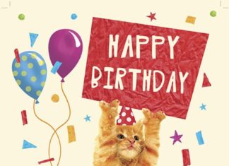 Happy Birthday Wiches : michaelcheung_cat_happy_birthday.jpg