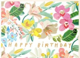 Happy Birthday Wiches : print & pattern fabulous designs on cards and wrapping paper from the brand new …