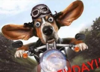 Happy Birthday Wiches : proficiat met je verjaardag