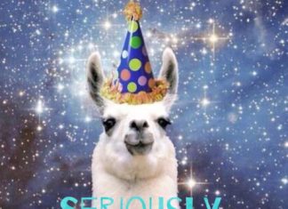 Happy Birthday Wiches : Seriously… Happy Birthday!!