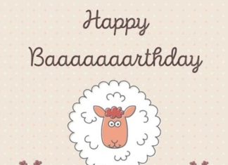 Birthday Quotes : videoswatsapp.com Happy Birthday – Happy Birthday Wishes Happy Birthday Quotes H…