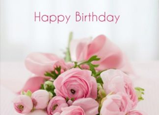 Birthday Quotes : videoswatsapp.com Happy Birthday – Happy Birthday Wishes Happy Birthday Quotes H…