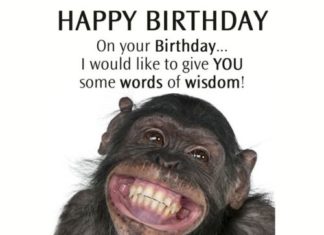 Birthday Quotes : videoswatsapp.com Photo Happy Birthday Wishes Happy Birthday Quotes Happy Birthd…