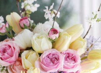 Happy Birthday Wiches : videoswatsapp.com Photo Happy Birthday Wishes Happy Birthday Quotes Happy Birthd…