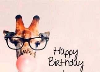 Happy Birthday Wiches : Happy birthday