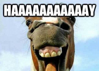 Birthday Quotes : videoswatsapp.com Photo Happy Birthday Wishes Happy Birthday Quotes Happy Birthd…