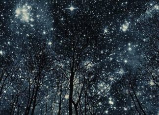 Birthday Quotes : videoswatsapp.com Photo Happy Birthday Wishes Happy Birthday Quotes Happy Birthd…