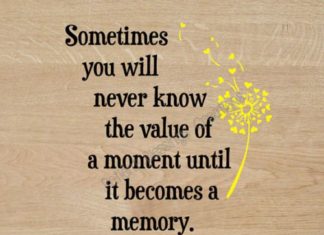 Birthday Quotes : videoswatsapp.com Photo Happy Birthday Wishes Happy Birthday Quotes Happy Birthd…