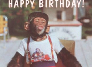 Birthday Decoration : Happy birthday monkey