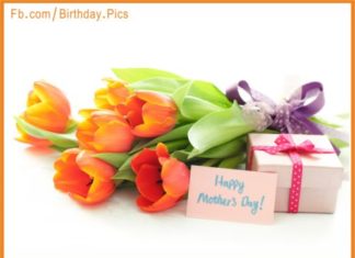 Birthday Quotes : videoswatsapp.com… Photo sharefunny.tumblr…