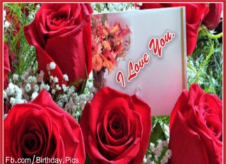 Birthday Quotes : videoswatsapp.com… Photo sharefunny.tumblr…