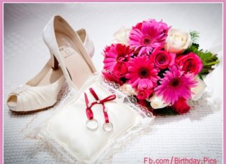 Birthday Quotes : videoswatsapp.com Photo Happy Birthday Wishes Happy Birthday Quotes Happy Birthd…