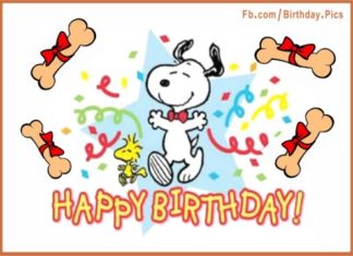 Birthday Quotes : videoswatsapp.com Photo Happy Birthday Wishes Happy Birthday Quotes Happy Birthd…