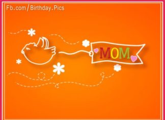Birthday Quotes : videoswatsapp.com Photo Happy Birthday Wishes Happy Birthday Quotes Happy Birthd…