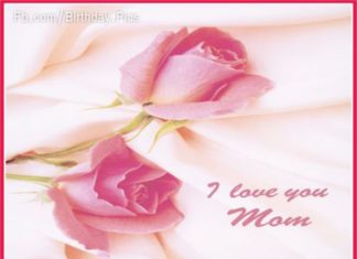 Birthday Quotes : videoswatsapp.com Photo Happy Birthday Wishes Happy Birthday Quotes Happy Birthd…