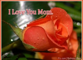 Birthday Quotes : videoswatsapp.com Photo Happy Birthday Wishes Happy Birthday Quotes Happy Birthd…