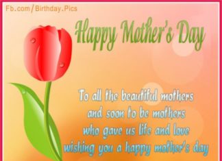 Birthday Quotes : videoswatsapp.com Photo Happy Birthday Wishes Happy Birthday Quotes Happy Birthd…