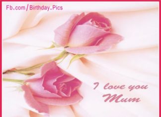 Birthday Quotes : videoswatsapp.com Photo Happy Birthday Wishes Happy Birthday Quotes Happy Birthd…