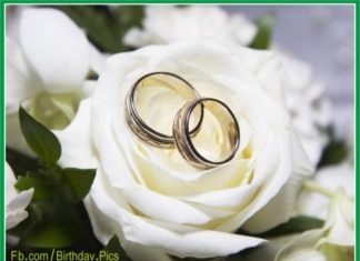 Birthday Quotes : videoswatsapp.com Photo Happy Birthday Wishes Happy Birthday Quotes Happy Birthd…