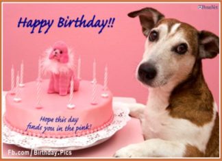 Birthday Quotes : videoswatsapp.com Photo Happy Birthday Wishes Happy Birthday Quotes Happy Birthd…