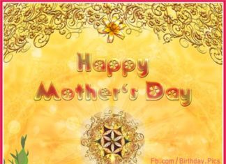 Birthday Quotes : videoswatsapp.com Photo Happy Birthday Wishes Happy Birthday Quotes Happy Birthd…